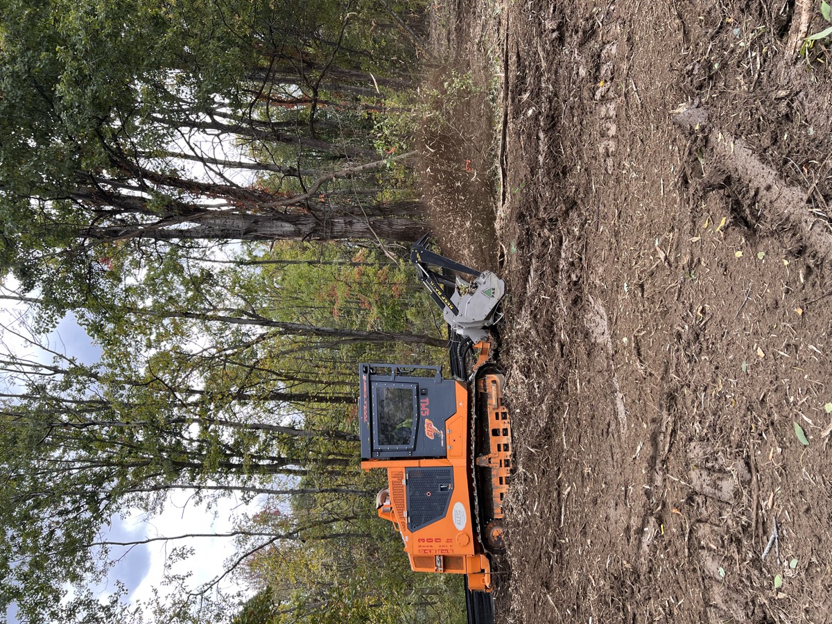 Forestry mulcher in action