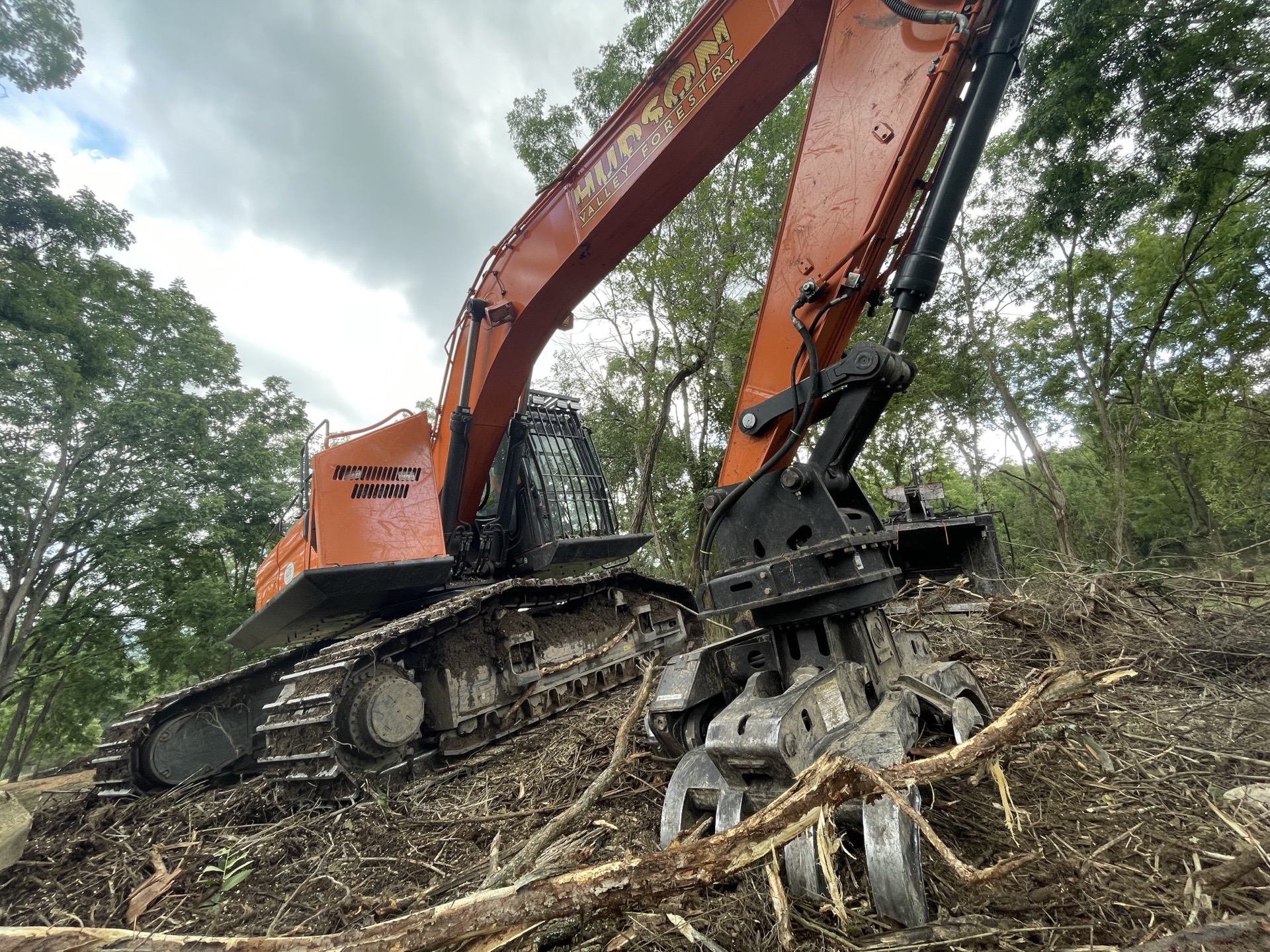 Invasive species removal