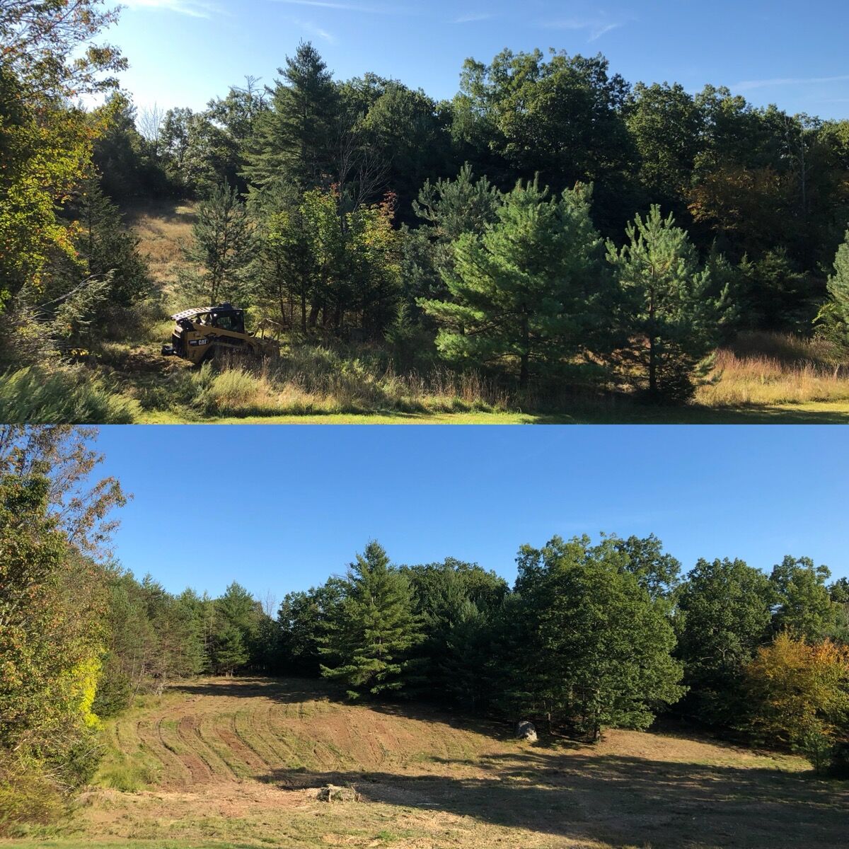 Before and after land clearing: Hudson Valley Forestry, frame 03