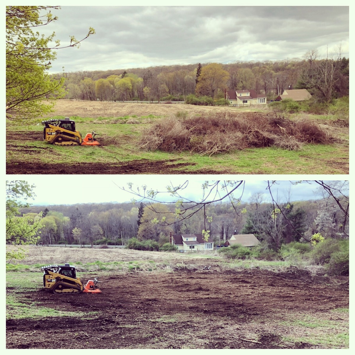 Multiflora rose and invasive brush piles before mulching — Cold Spring, NY