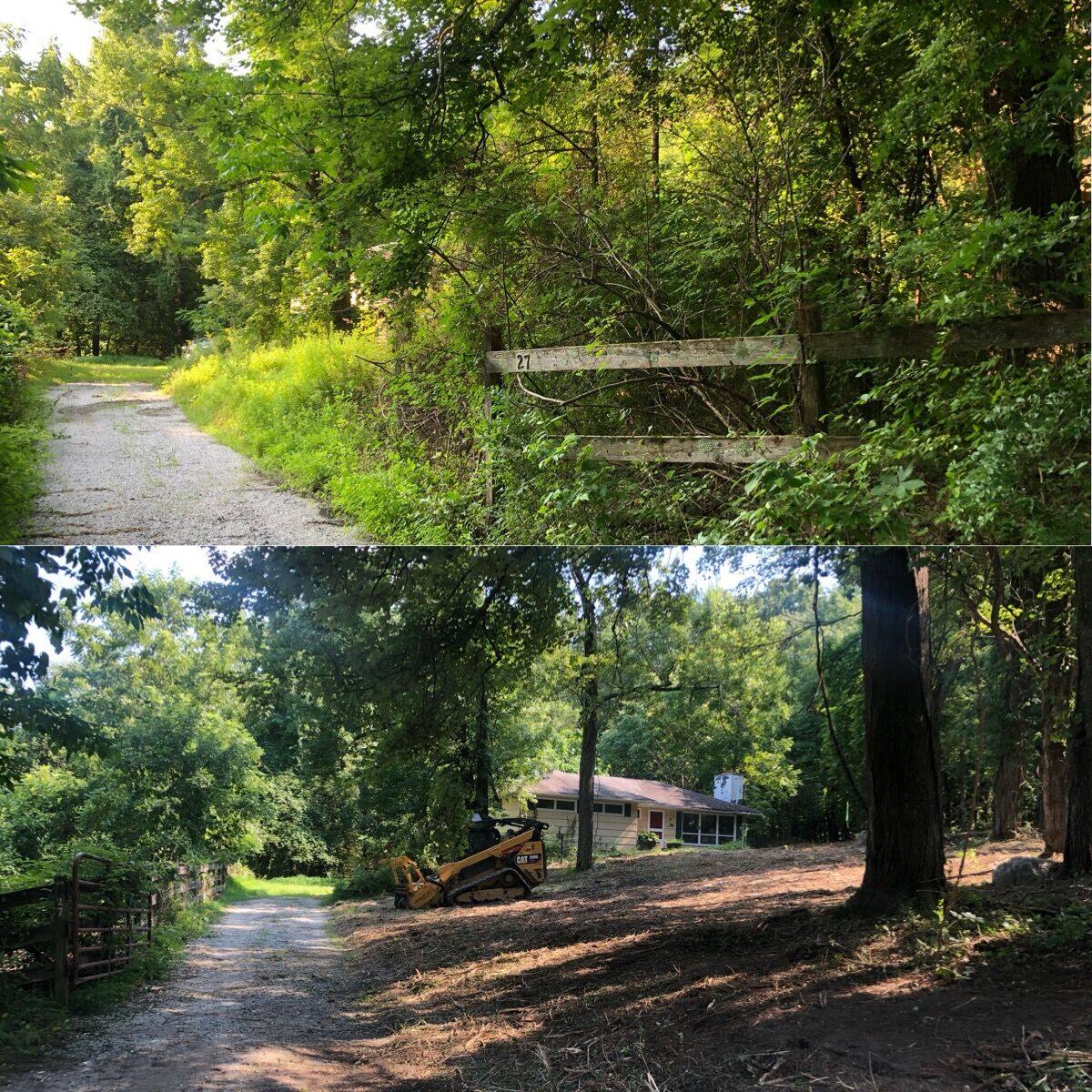 Before and after land clearing: Hudson Valley Forestry, frame 08