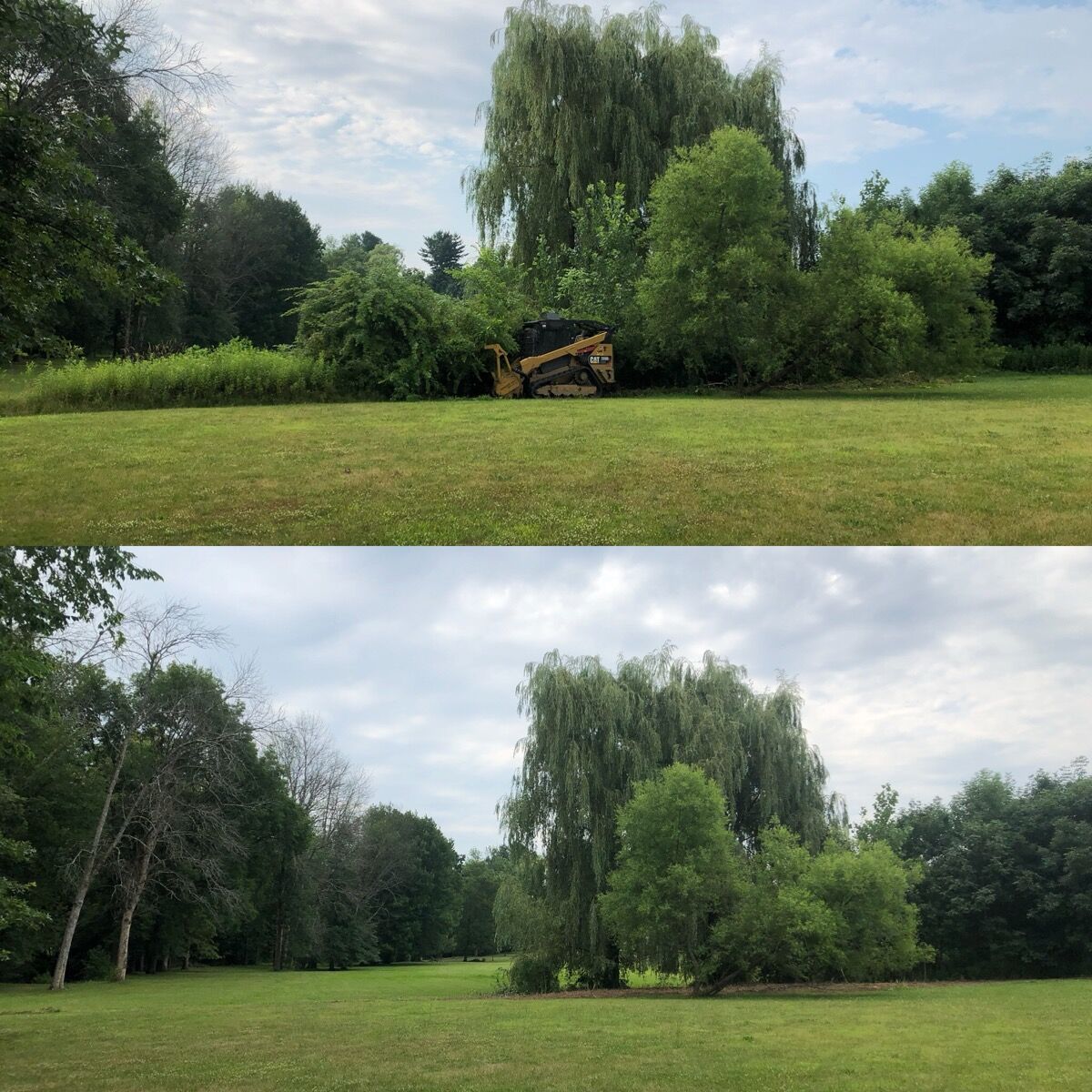 Before and after land clearing: Hudson Valley Forestry, frame 10