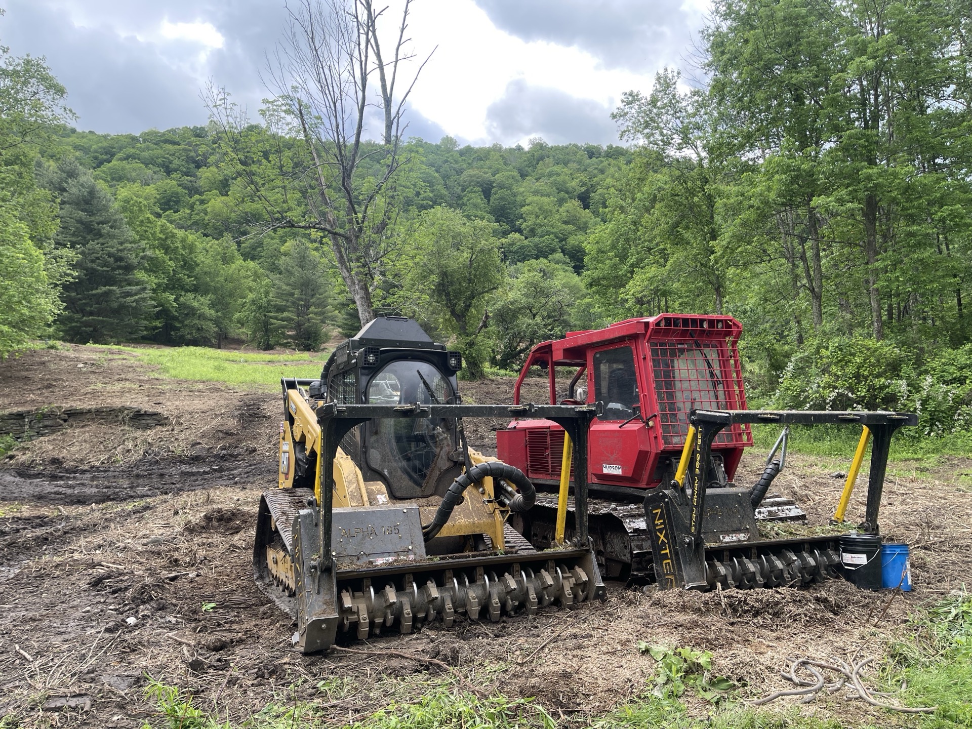 Land clearing project